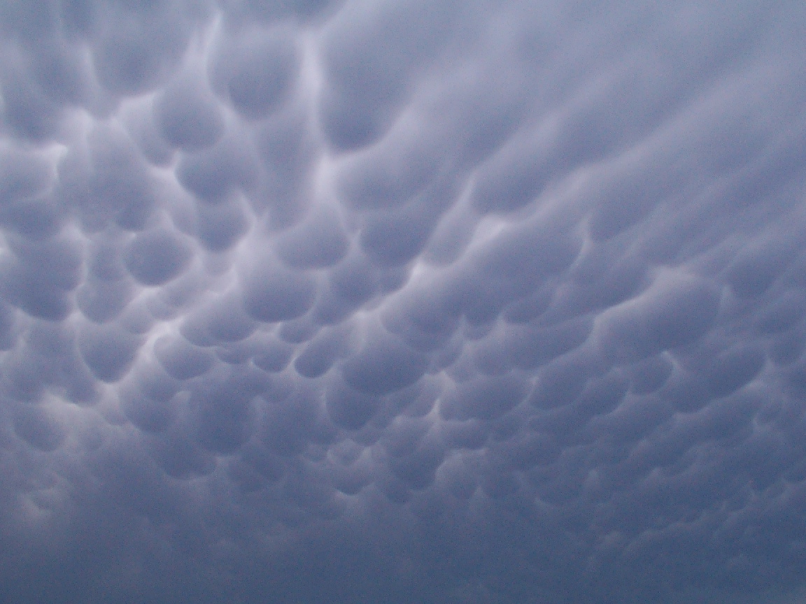 mamatus100.jpg [315407 octets]