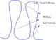 step3_mult_coll.gif [3Ko]